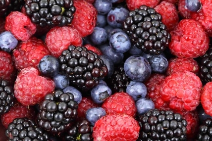 background-2277__480.jpg